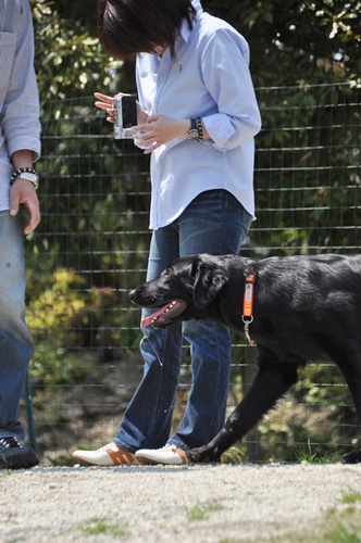 子供の日　＜フラット親戚会＞ Ⅱ  _f0176499_3451646.jpg