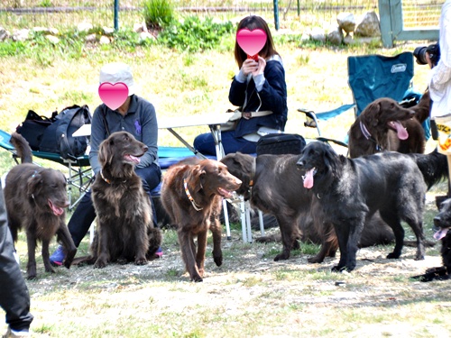 子供の日　＜フラット親戚会＞ Ⅱ  _f0176499_3452836.jpg