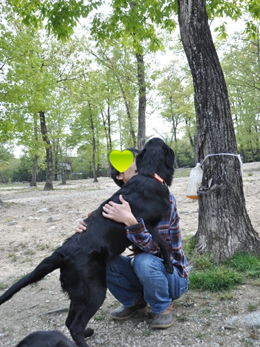 子供の日　＜フラット親戚会＞ Ⅱ  _f0176499_3483639.jpg