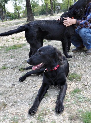 子供の日　＜フラット親戚会＞ Ⅱ  _f0176499_3485191.jpg