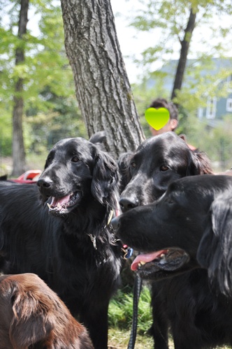 子供の日　＜フラット親戚会＞ Ⅱ  _f0176499_34935100.jpg