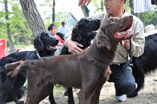 子供の日　＜フラット親戚会＞ Ⅱ  _f0176499_3495692.jpg