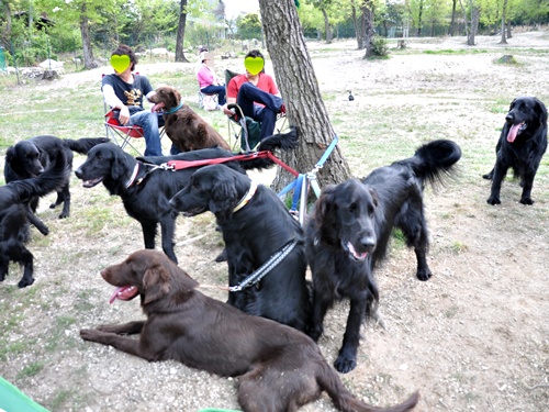 子供の日　＜フラット親戚会＞ Ⅱ  _f0176499_352123.jpg