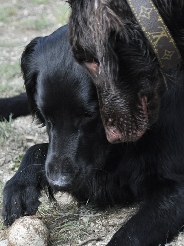 子供の日　＜フラット親戚会＞ Ⅱ  _f0176499_355033.jpg