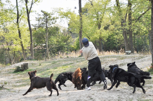 子供の日　＜フラット親戚会＞ Ⅱ  _f0176499_4201543.jpg