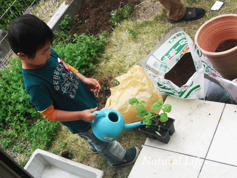 b0162000_10424084.gif