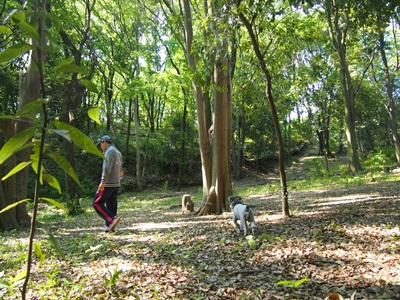f0254105_10469.jpg
