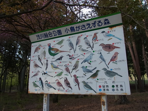 e0243008_9482924.jpg
