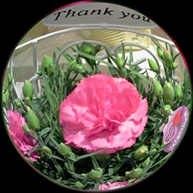 b0214713_385542.png