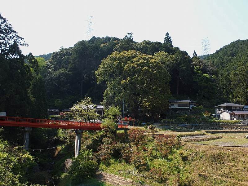 岩湧寺　2013年05月06日_e0106724_1034182.jpg