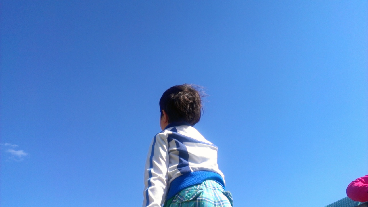 a0014141_1743.jpg