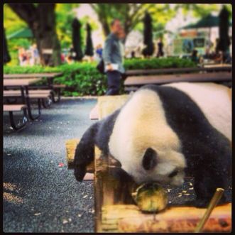 上野動物園で心ゆくまで人混みを堪能_c0060143_1235439.jpg