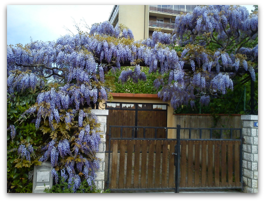 d0227344_23474121.png