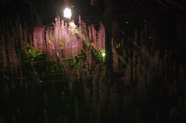 d0186245_1542337.jpg