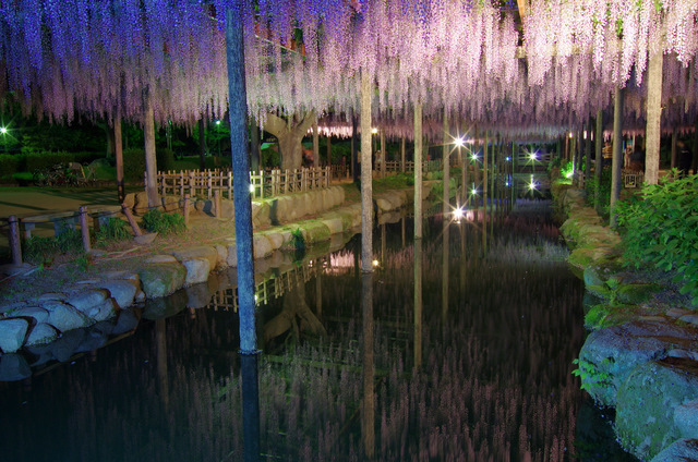 d0186245_1583339.jpg