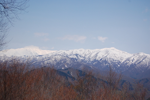 黒森山　イイデを見る　その２_b0189948_2116549.jpg