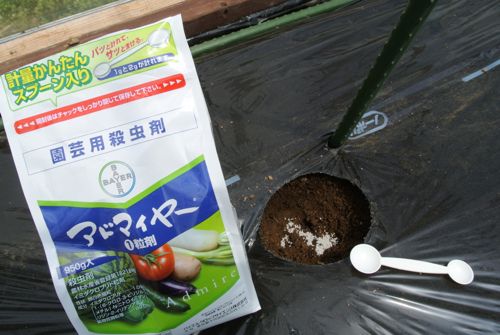 夏野菜定植!一息ついた_c0063348_218239.jpg