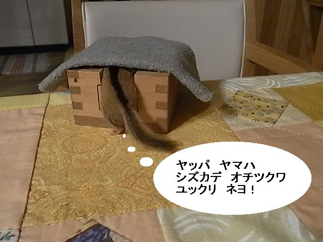 a0146070_633286.jpg