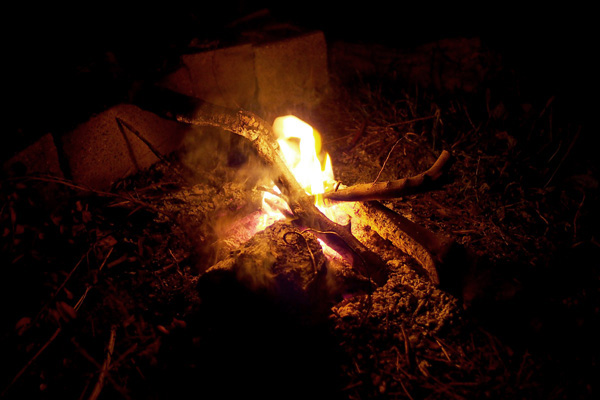 a0207672_1131143.jpg