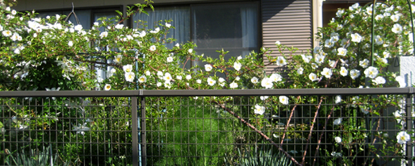 c0289473_10204499.jpg