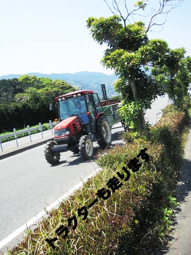 糸島三都110kmウォーキング の思い出　１_c0199174_838143.jpg