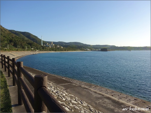 沖縄２日目　～美ら海水族館へ行こう～_d0140680_23202036.jpg