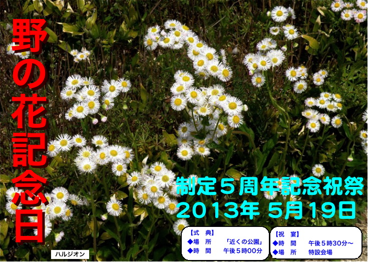 「野の花記念日」まであと１０日_d0006690_10543635.jpg