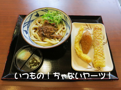 お外が大嫌いな犬が揃ったったwww_b0200291_22105819.jpg