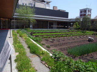 a0137192_1541298.jpg