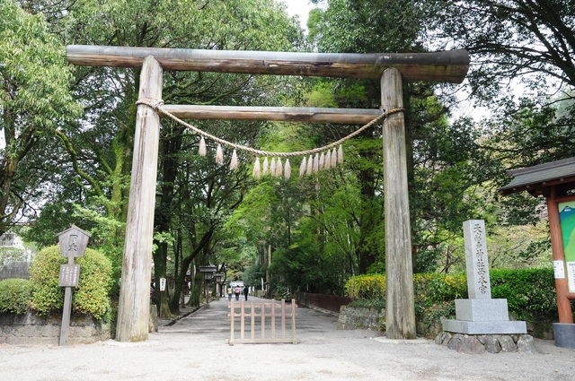 e0244492_1549155.jpg