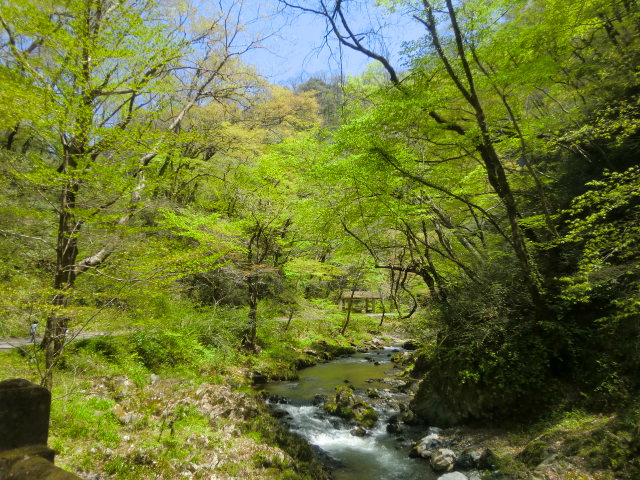 広島・二泊三日帝釈峡の旅　①_b0044296_10501811.jpg