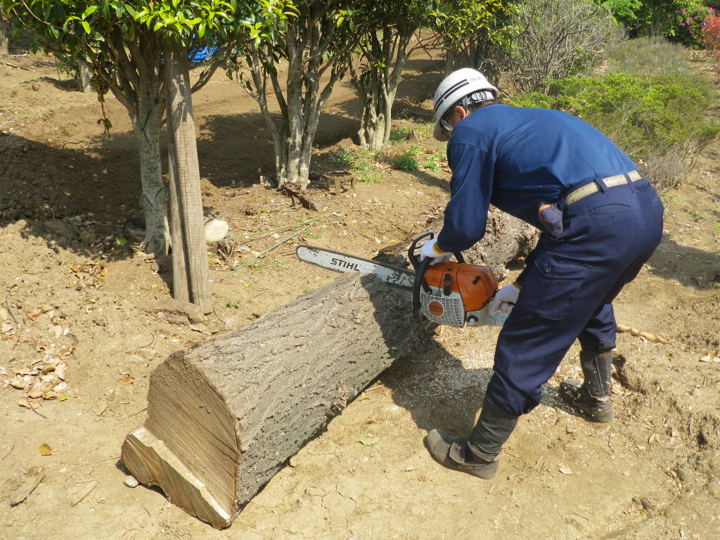 チェンソーカービング講習会 : That's 昭立造園