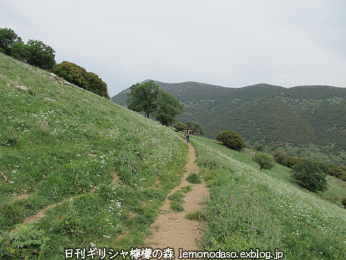 c0010496_19141.jpg