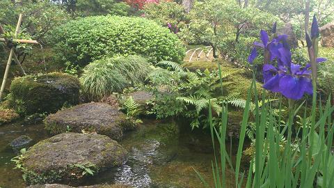 五感で季節を愛でる 麗しの日本庭園 花が教えてくれたこと
