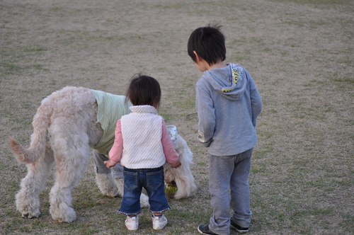 ちょっと公園♪_d0268608_23362499.jpg