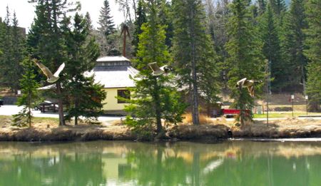 バンフに架かる橋『ボウ・リバーブリッジ』の様子＆歴史 　　The Bow River Bridge_b0051109_93210.jpg