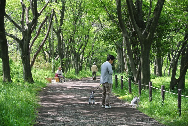 馬飼の公園に行ったよ-　♪_f0179209_13312577.jpg