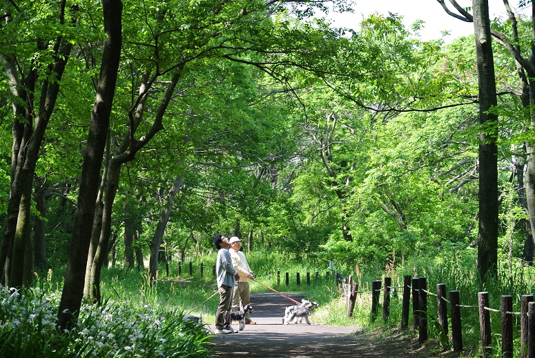 馬飼の公園に行ったよ-　♪_f0179209_13324985.jpg