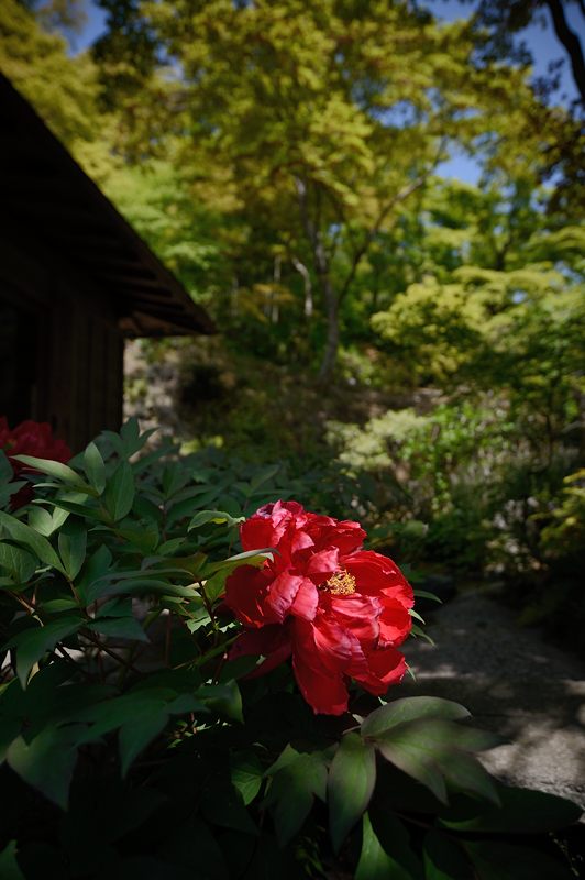 f0032011_18273737.jpg