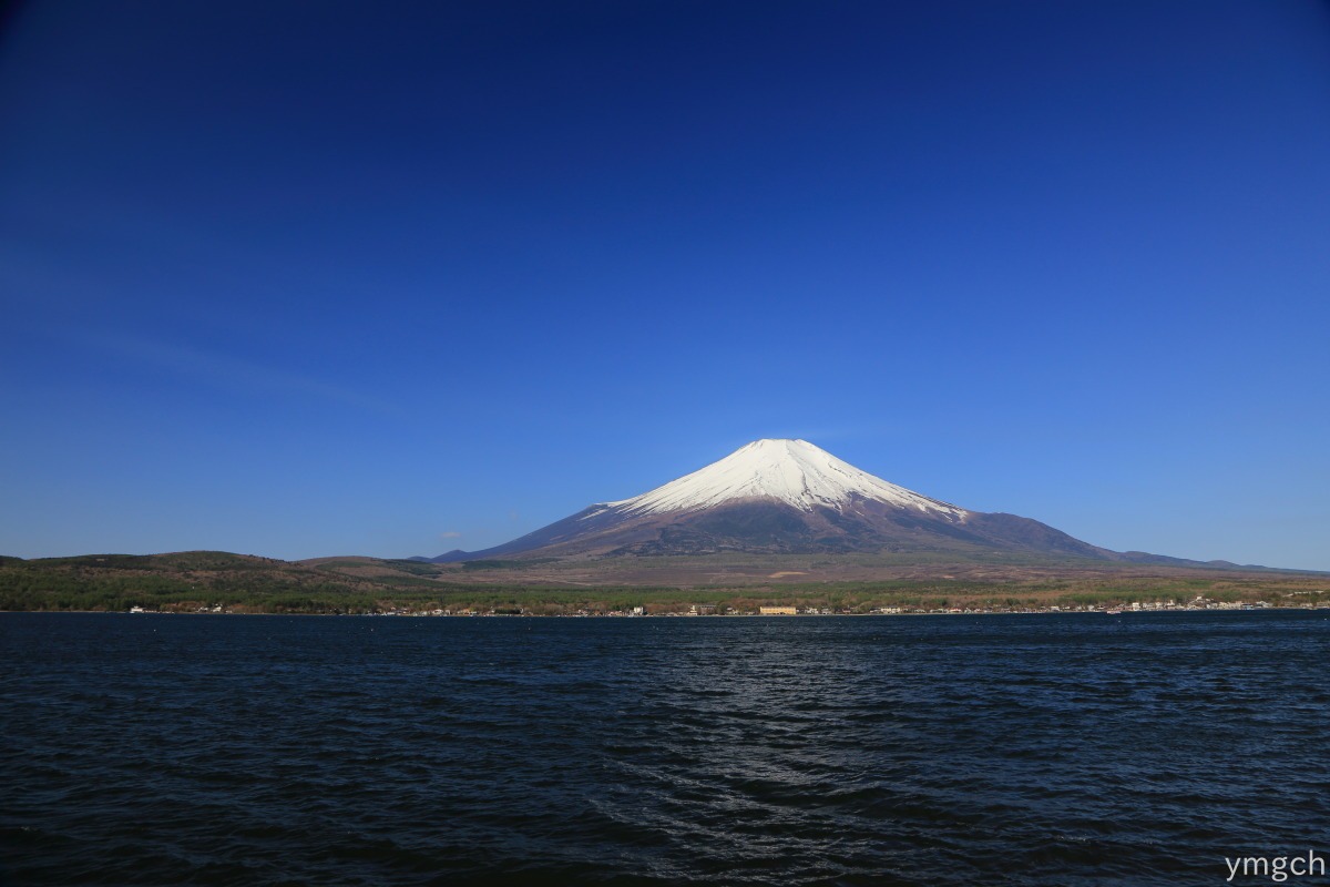 富士の芝桜まつり（１）_f0157812_843569.jpg