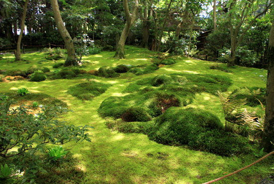 奥嵯峨 祇王寺青もみじ_e0048413_15505092.jpg