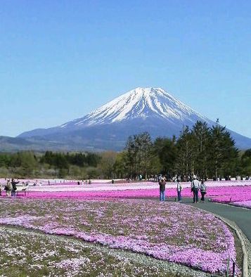 花より団子の我輩でも感動!_e0234016_15371496.jpg