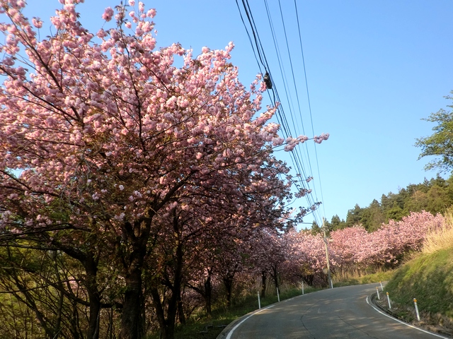 久々に晴天の水曜日！ その②_a0256418_19212659.jpg