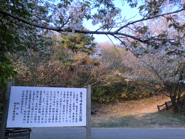 久々に晴天の水曜日！ その②_a0256418_19213852.jpg