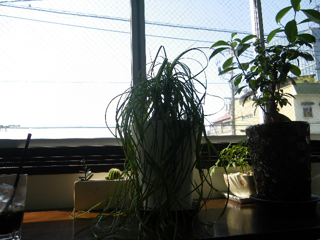 c0229219_1330551.jpg