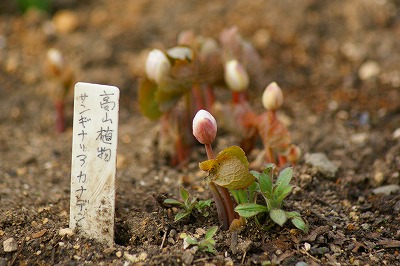 f0170524_18291227.jpg