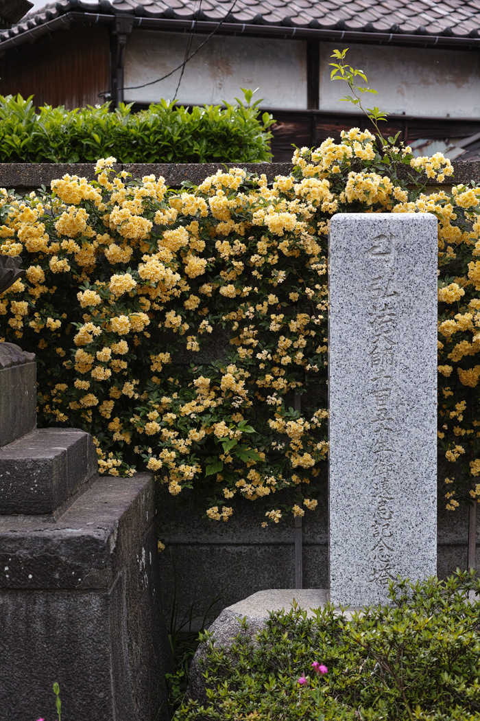 c0223825_7551170.jpg