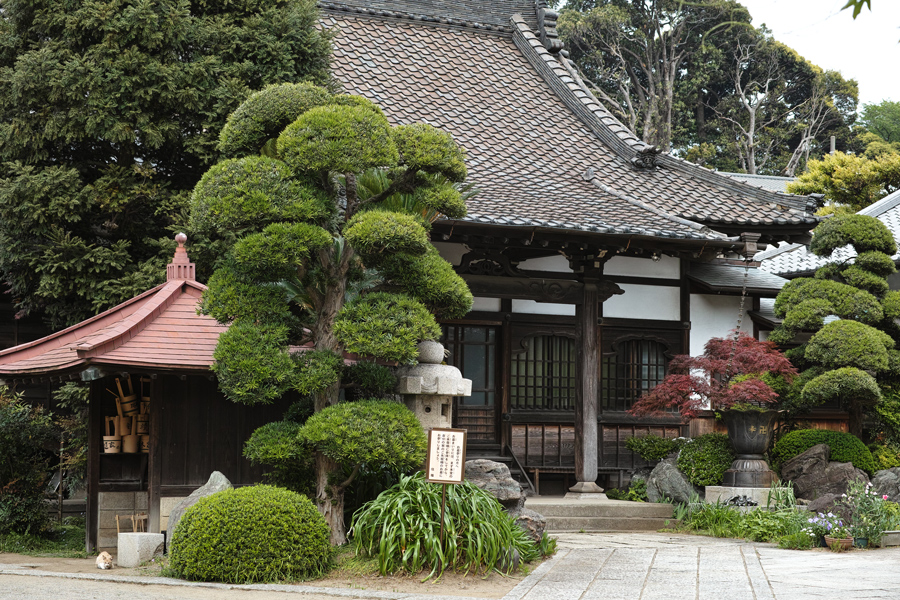c0223825_756147.jpg