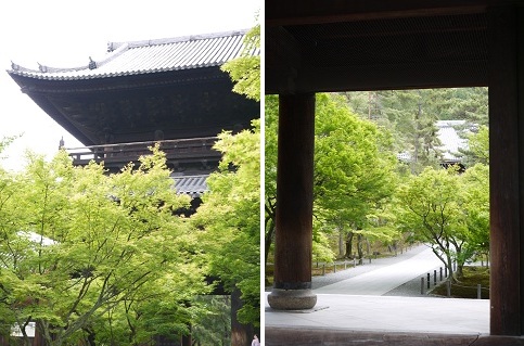 新緑の頃に・・・ ~南禅寺(京都)~_c0235725_05013100.jpg
