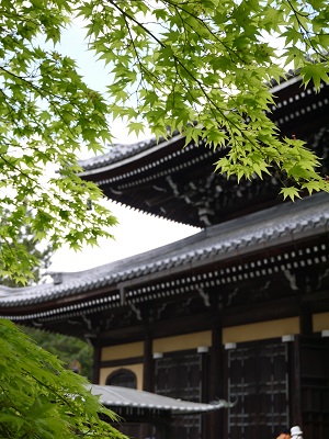 新緑の頃に・・・ ~南禅寺(京都)~_c0235725_053840.jpg